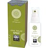 Spray Anal Relax Beginners 60ml