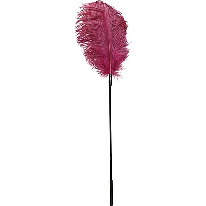 Paleta Feather Roz